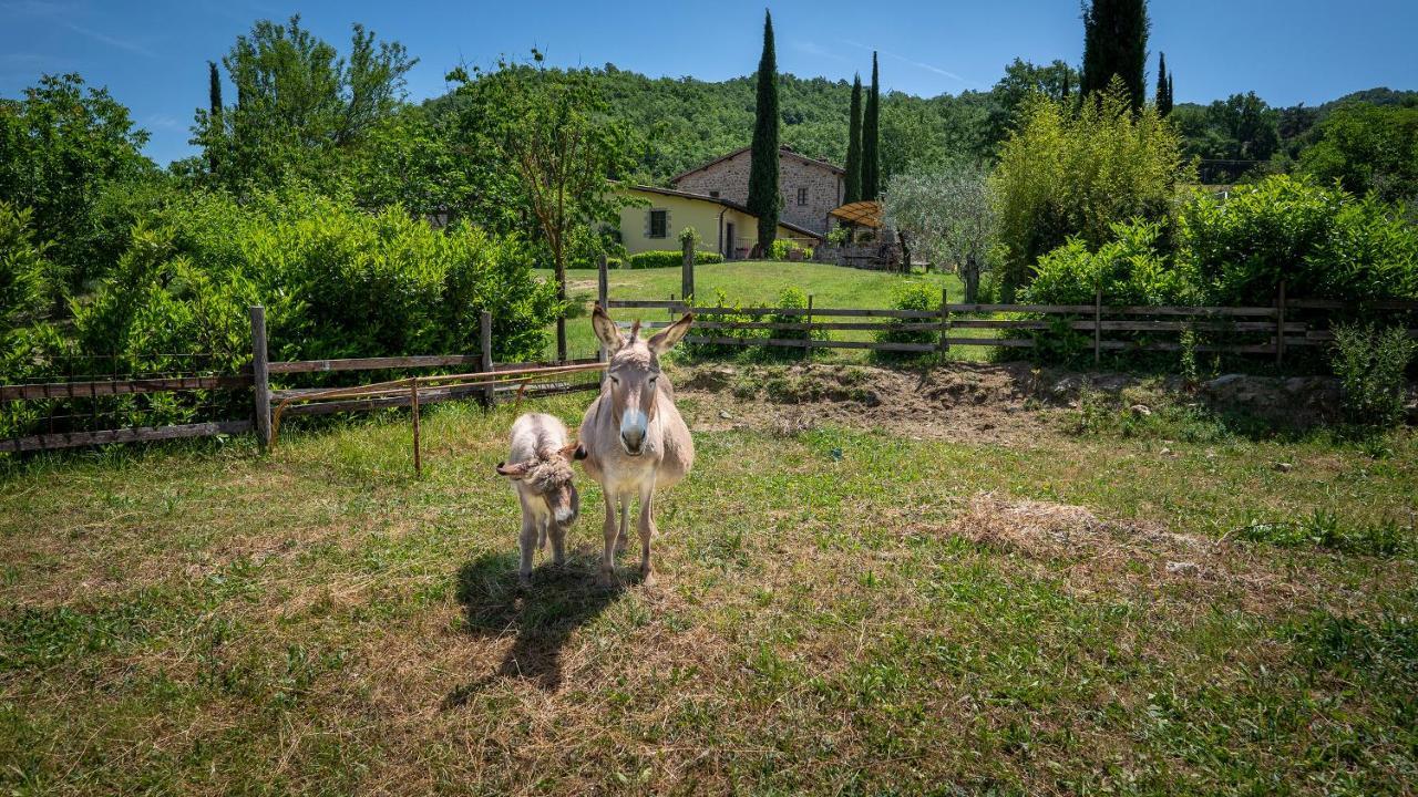 Agriturismo I Pietrini Perugia Esterno foto